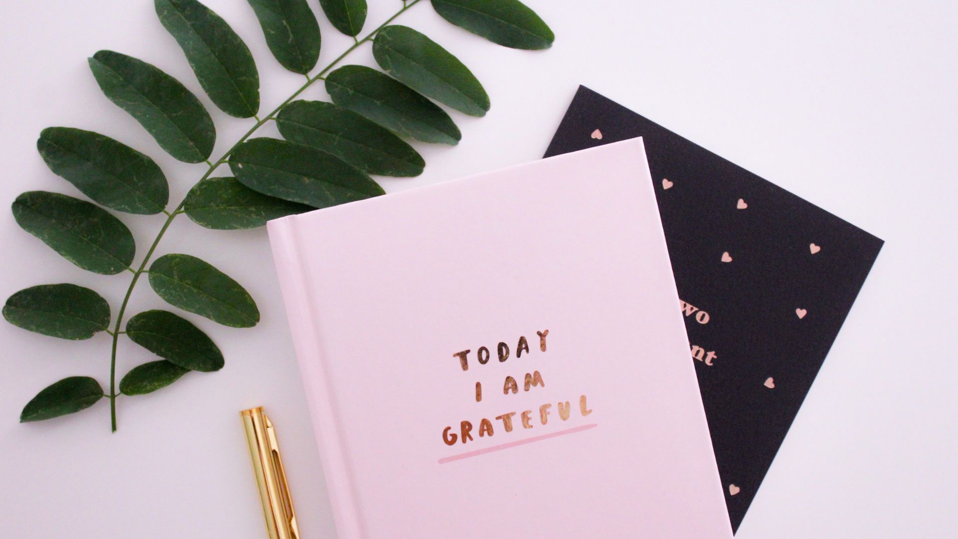 Carnet rose sur une table avec une branche de plante et un stylo